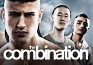 David Field The Combination (2009)