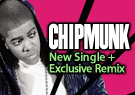 Chipmunk