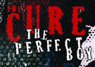The Cure The Perfect Boy (Mix 13) - Single