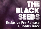 The Black Seeds Solid Ground