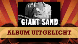 Giant Sand Provisions
