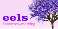 showcase PL Eels Tomorrow Morning