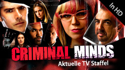 Criminal Minds Criminal Minds, Staffel 4