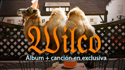 Wilco Wilco (The Album)