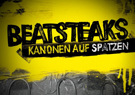 Beatsteaks Kanonen auf Spatzen - 28 Live Songs