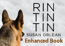 Rin Tin Tin