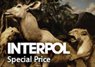 Interpol Our Love to Admire