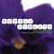 Purple Violets (Film Soundtrack)