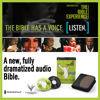 The Bible Experience
