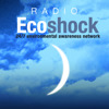 The Radio Ecoshock Show