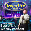 Tree of Life Church - Sanctuary