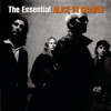 The Essential Alice In Chains, Alice In Chains