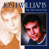 Now That You're Gone, Josh Williams