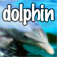 Icon Play with Dolphins