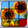 Picture Slider