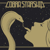 While the City Sleeps, We Rule the Streets, Cobra Starship