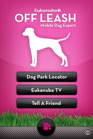 Off Leash