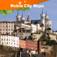 Icon Lyon