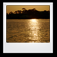 Icon 1000 Words - Facebook Connected Digital Photo Frame Slideshow