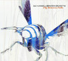 Fly Between Falls, ALO (Animal Liberation Orchestra)