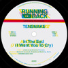 In the End (I Want You to Cry) - EP, Tensnake