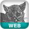 Icon RESTful Web Services