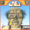 Mr. Bungle, Mr. Bungle