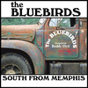 South from Memphis, Bluebirds