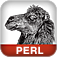 Icon Perl in a Nutshell, Second Edition