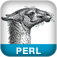 Icon Learning Perl, Fifth Edition