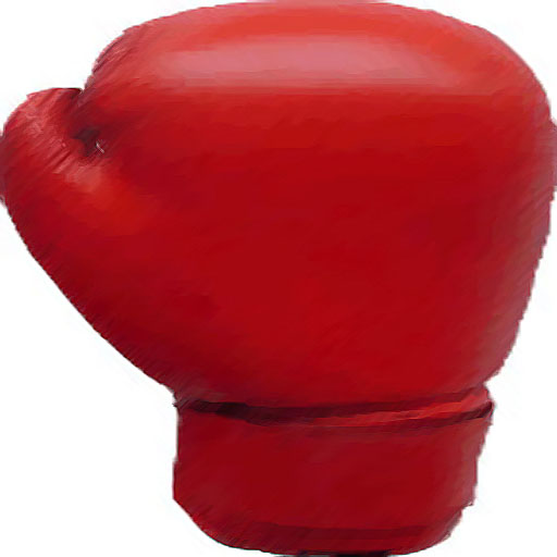 iBoxing icon