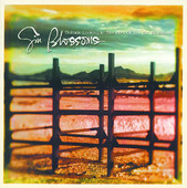 Outside Looking In: The Best of the Gin Blossoms, Gin Blossoms