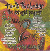 The Brasil Project, Vol. 2, Toots Thielemans