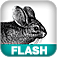 Search Engine Optimization for Flash