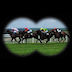 Improve Your Betting
