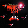 The Best of Wishbone Ash, Wishbone Ash