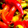 Mexican Cuisine 1.5 by Nahum Jaimes Nava