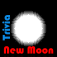 Icon A Twilight Trivia - New Moon (Book 2)