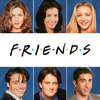 Friends, Saison 1 (VF)