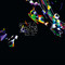 Sweet Lies (Radio Versions) - Single