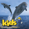 play video on iTunes