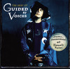 The Best of Guided By Voices: Human Amusements At Hourly Rates