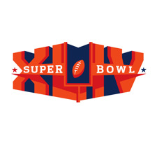Super Bowl XLIV - NFL Playoffs