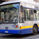Bus Torino