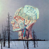 Songs for a Dead Pilot - EP, Low