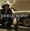 Tryin' to Get There, David Lee Murphy