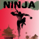 Icon Ninja Shadow