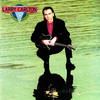 On Solid Ground, Larry Carlton