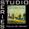 Fields of Grace (Studio Series Performance Track) - EP, Big Daddy Weave