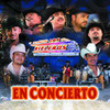 Los Rieleros del Norte: En Concierto